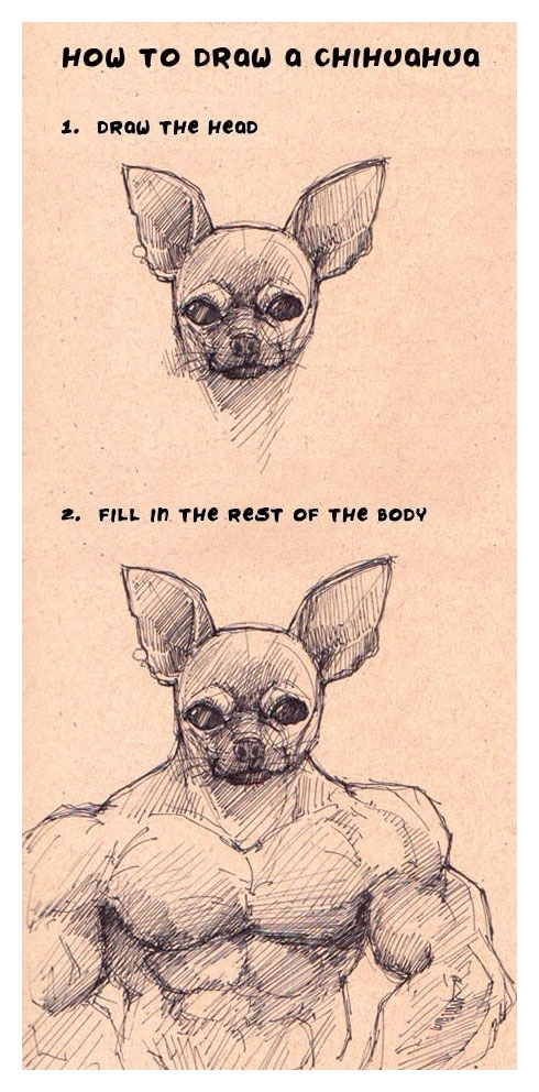 How To Draw A Chihuahua